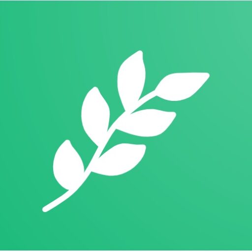Coinbranch